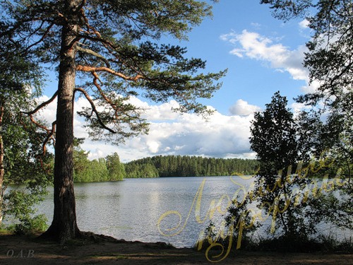 Озеро Верхолино, Карельский перешеек  © Андрей Овчинников